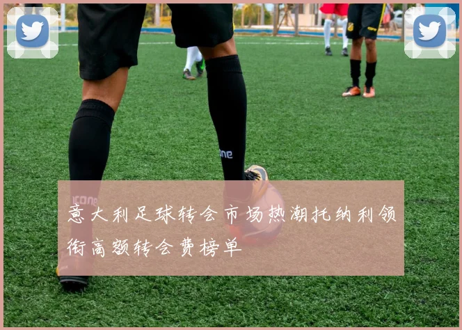 意大利足球转会市场热潮托纳利领衔高额转会费榜单