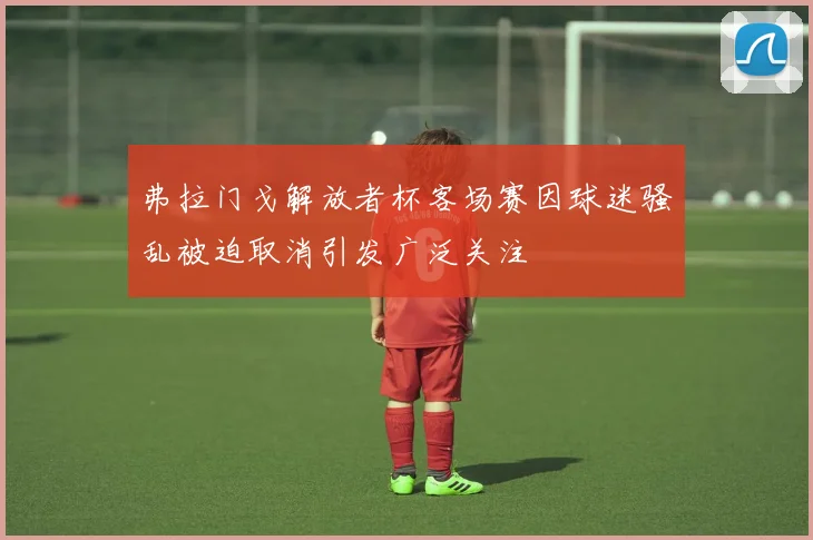 弗拉门戈解放者杯客场赛因球迷骚乱被迫取消引发广泛关注